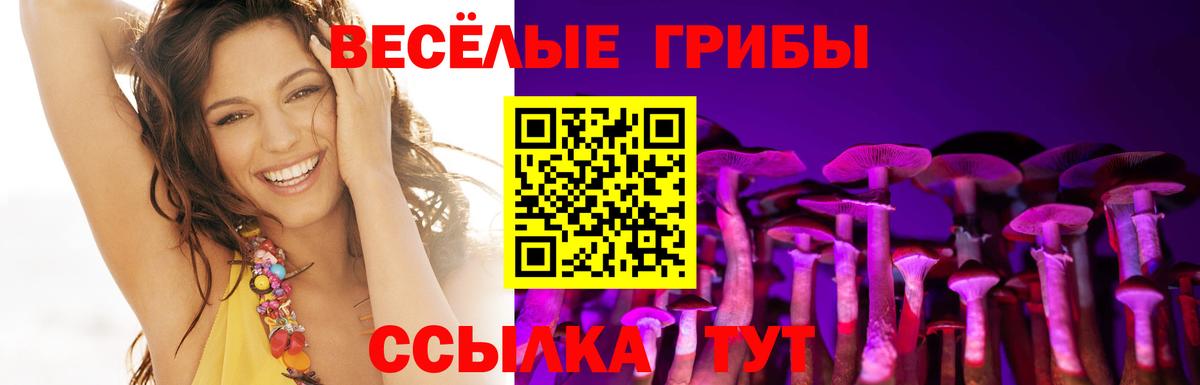 Приморско-Ахтарск  Псилоцибиновые грибы MAGIC MUSHROOMS  Вход с VPN  хочу наркоту  Галлюциногенные грибы Psilocybine cubensis 